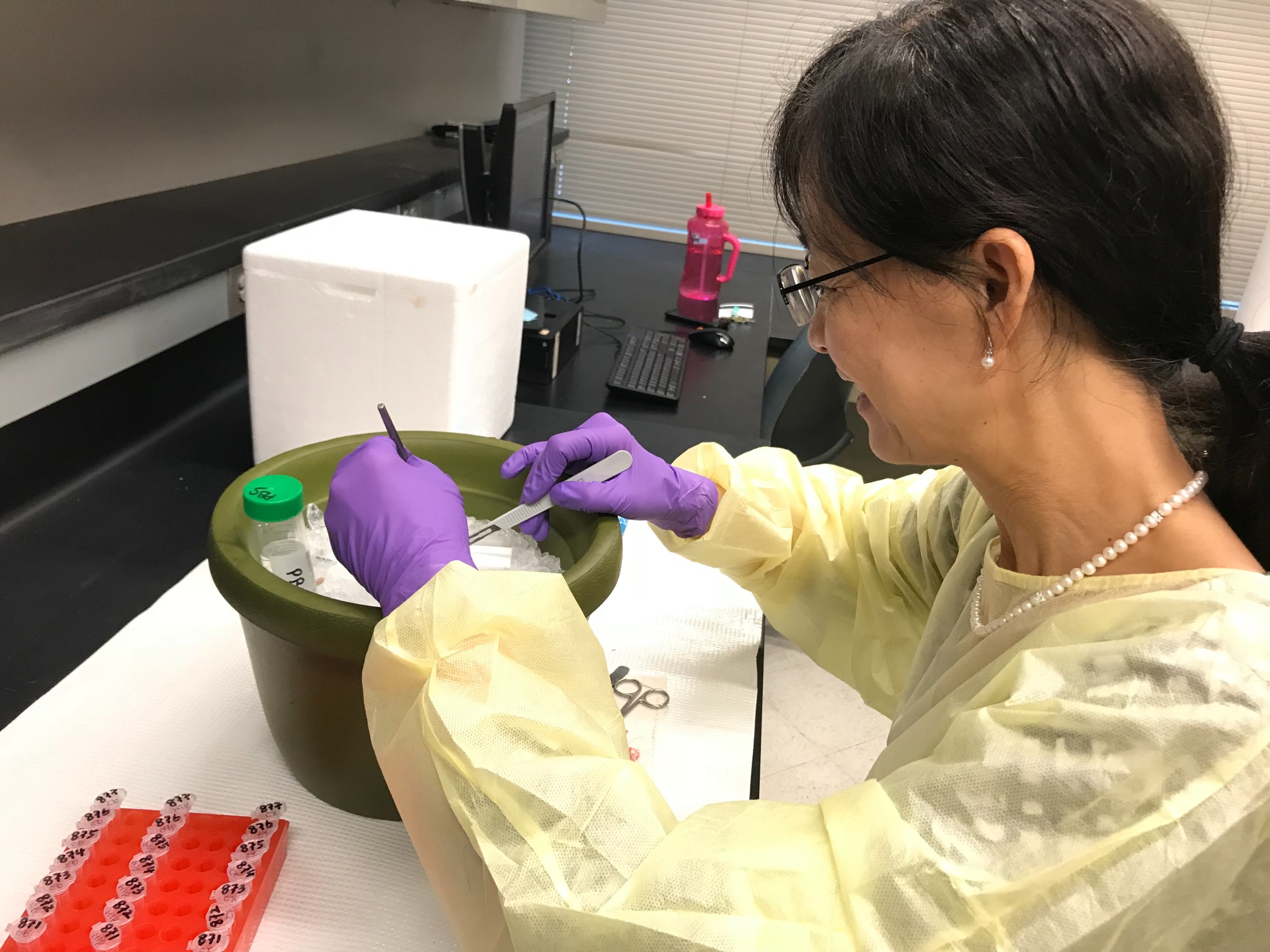 Sample preparation at the laboratory bench