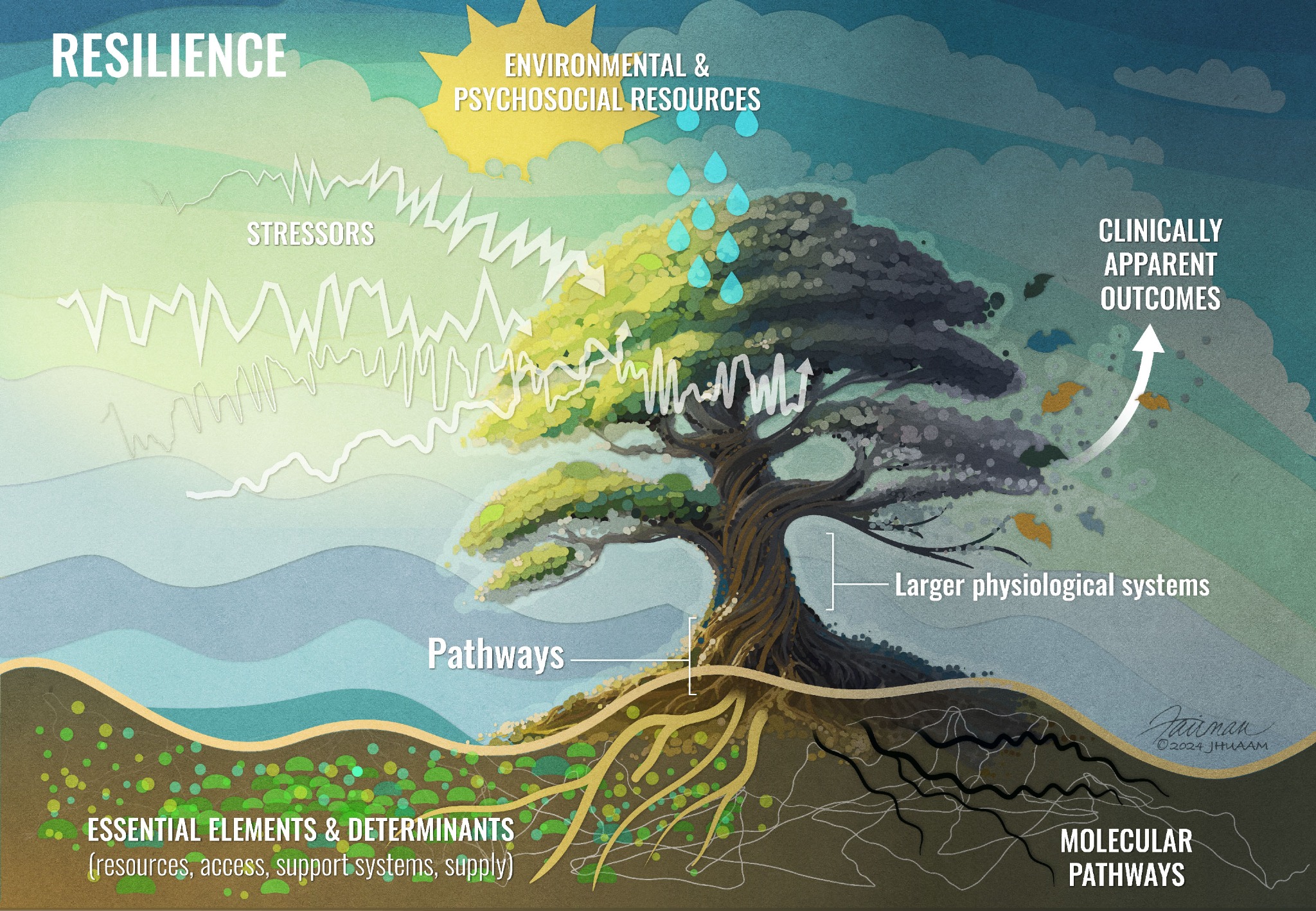Research illustration of the biological and environmental foundations of resilience